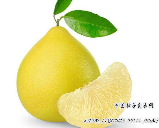 http://youzi.99114.com/